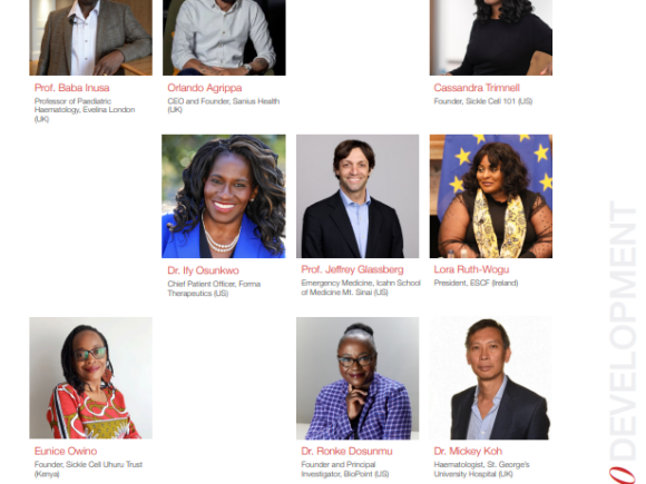Top 80 most influential advocates and people in sickle cell disease.